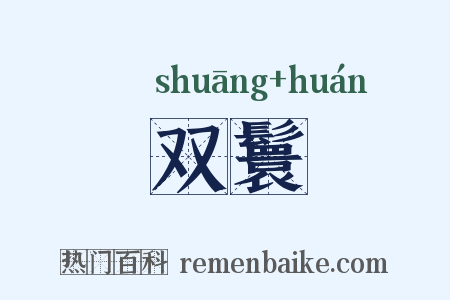 双鬟是什么意思的图片